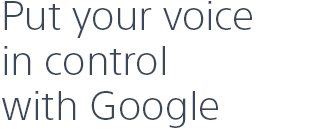 Put your voice in control with Google