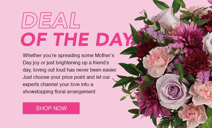 deal of the day