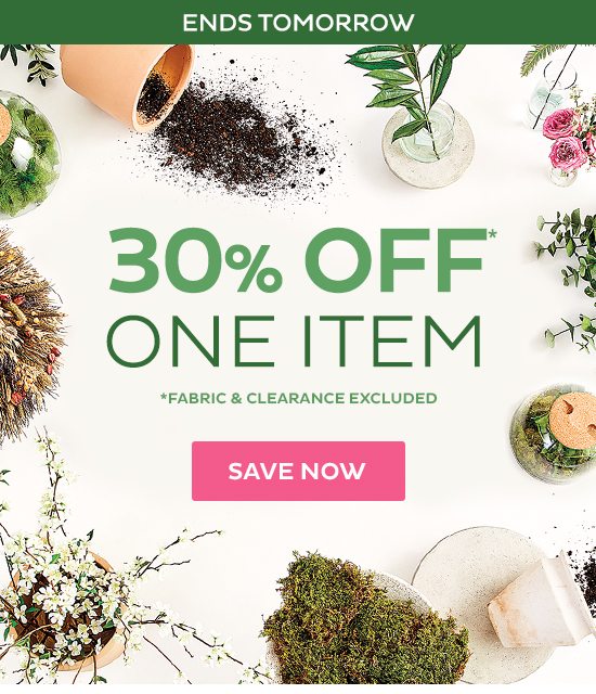 30% Off One Item