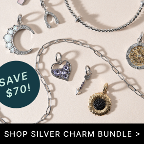 SHOP SILVER CHARM BUNDLE