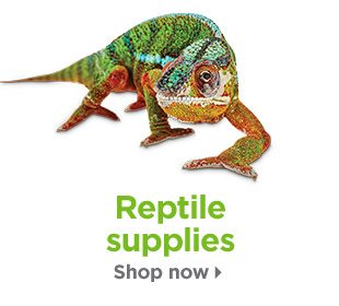 Reptile supplies. Shop now.