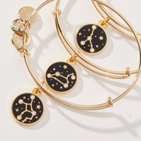 Zodiac Charm Bangles | Shop Now