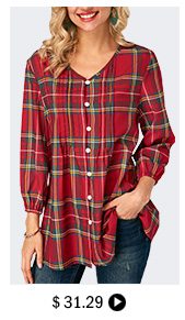 Blouson Sleeve Plaid Print V Neck Blouse