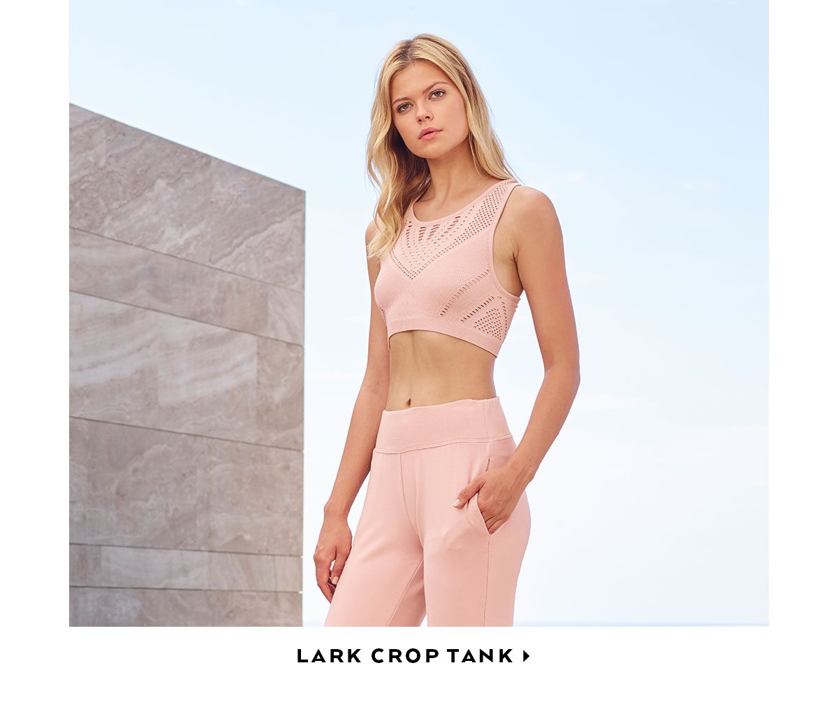 Alo Yoga + Lark Crop Top