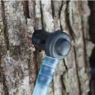 Read the blog - a plastic tap connects a maple tree to a network of tubing, collecting maple sap that's boiled to make syrup