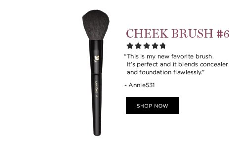 CHEEK BRUSH #6 'This is my new favorite brush. It’s perfect and it blends concealer and foundation flawlessly.' -Annie531 SHOP NOW