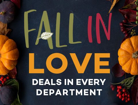 Fall In Love - Deals In Every Department