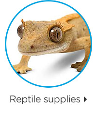 Reptile supplies.