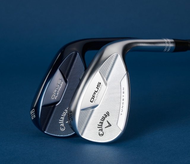 Opus Platinum Wedges