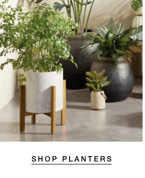 Shop Planters