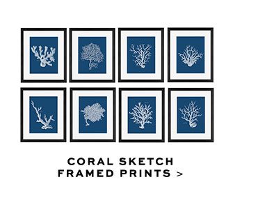 CORAL SKETCH FRAMED PRINTS >