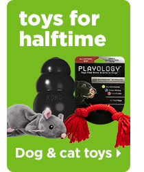 Toys for halftime. Dog & cat toys > 