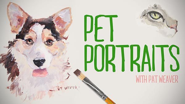 Pet Portraits