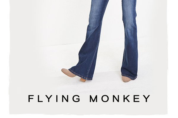 Flying Monkey