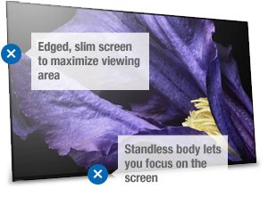 Slim screen and standless body