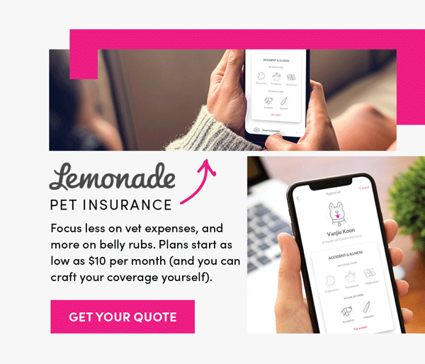 Lemonade Pet Insurance | Get Your Quote