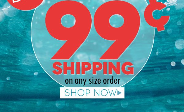 99¢ shipping on any size order