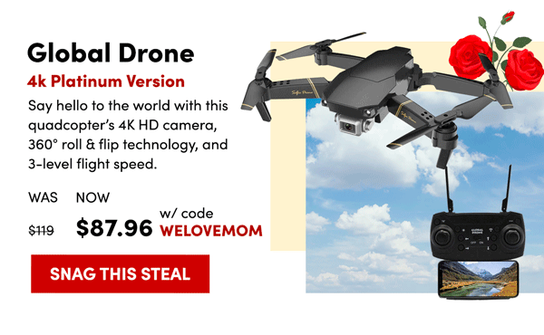 Global Drone | Snag This Steal