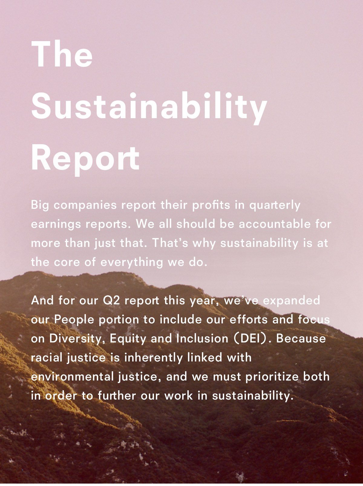 The Sustainability Report