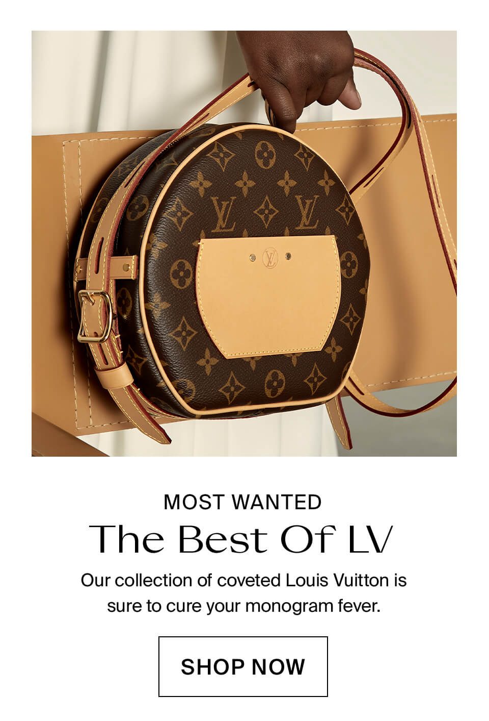 The Louis Vuitton Edit
