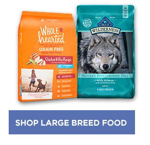 Shop large breed food.