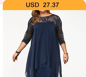 Lace Panel Overlay Plus Size Straight Dress