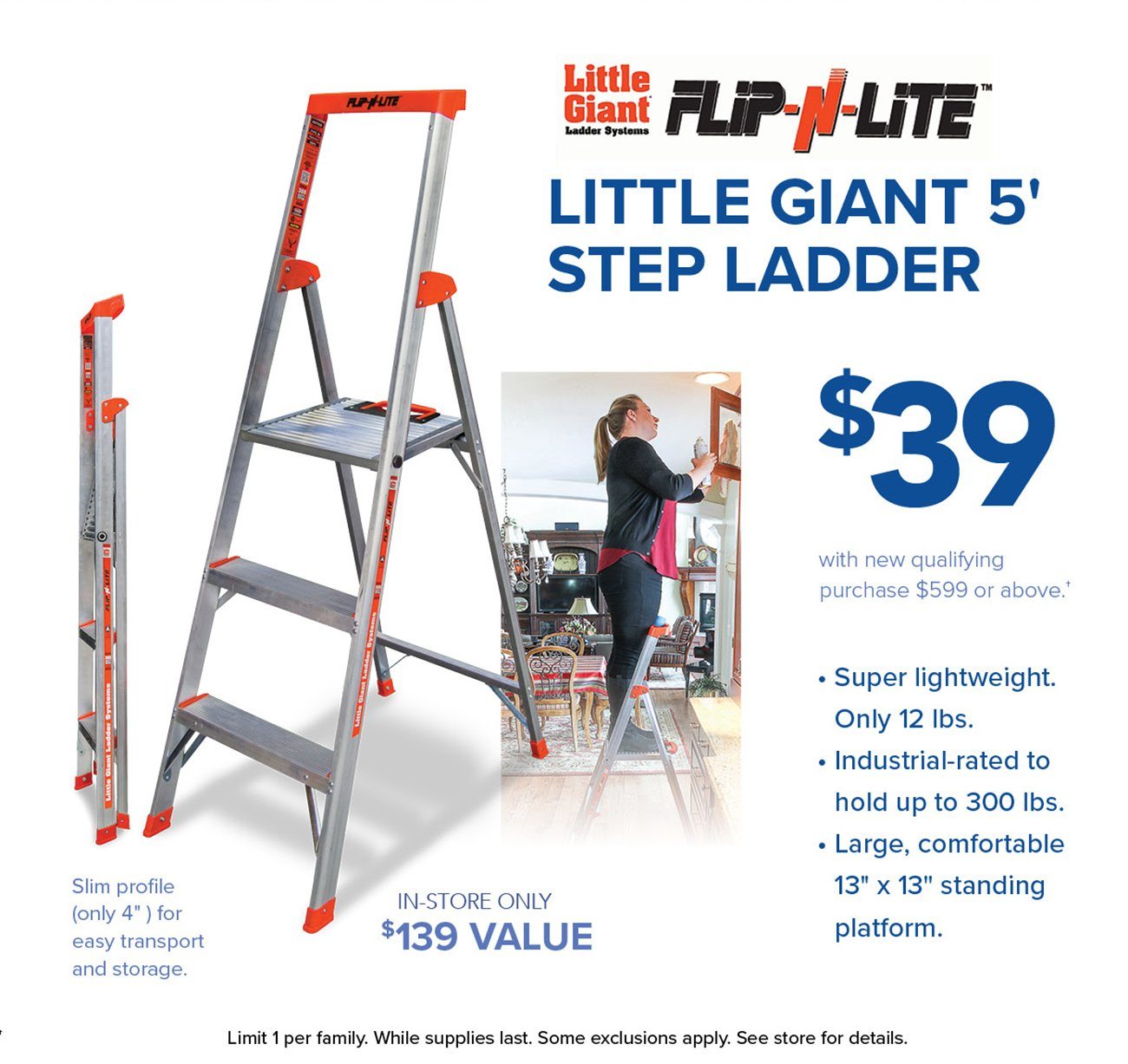 Little-Giant-Step-ladder
