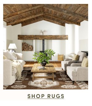 Shop Rugs