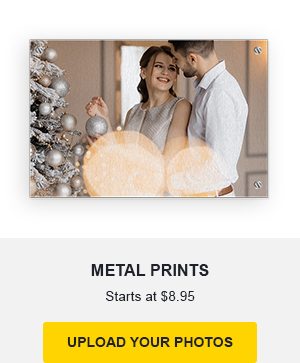 Metal Prints