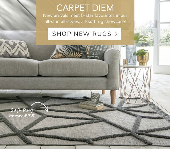 Carpet Diem - Shop New Rugs >