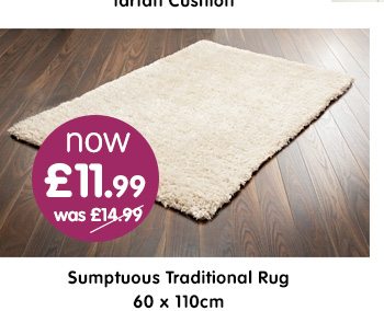 Sumptuous Traditional Rug 60 x 110cm