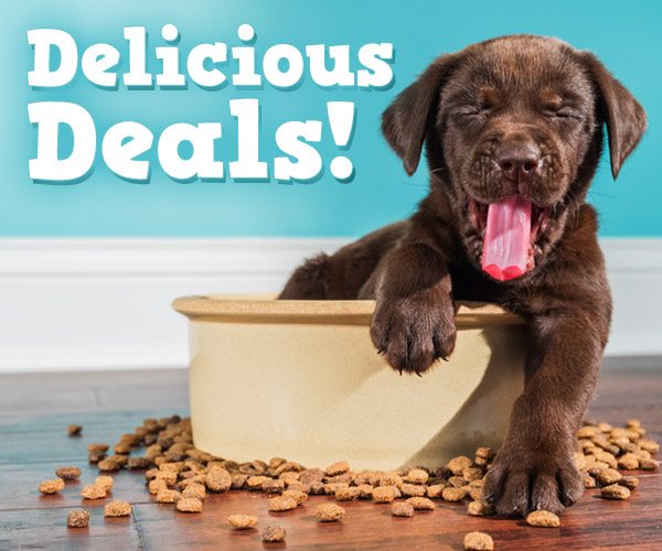 Delicious Deals! 20% Off + Free Shipping over $49*