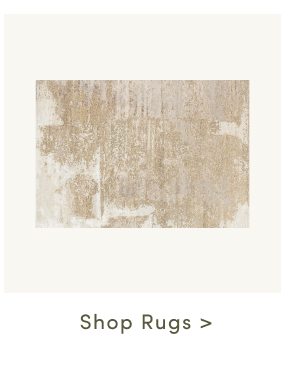 Shop Rugs