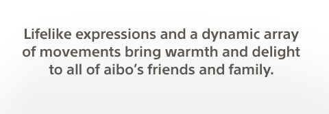 Lifelike expressions and a dynamic array of movements bring warmth and delight to all of aibo’s friends and family.