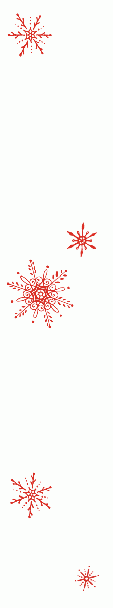Holiday Confections