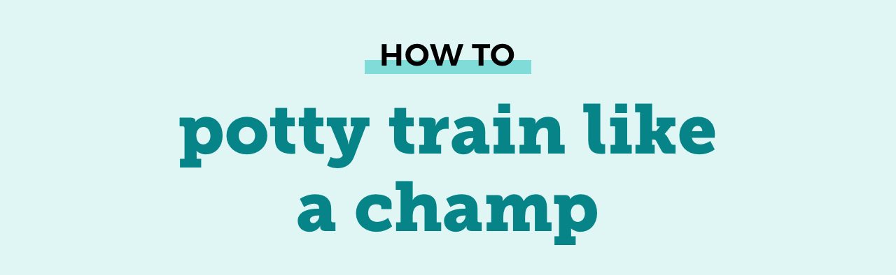 HOW TO potty train like a champ