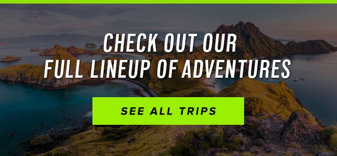 Check Out Our Full Lineup of Adventures - See All Trips