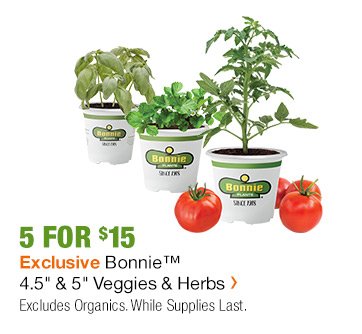 5 FOR $15 EXCLUSIVE BONNIE 4.5" & 5"