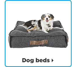 Dog beds >