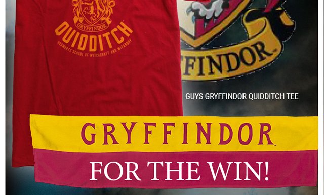 Harry Potter Gryffindor Quidditch Tee