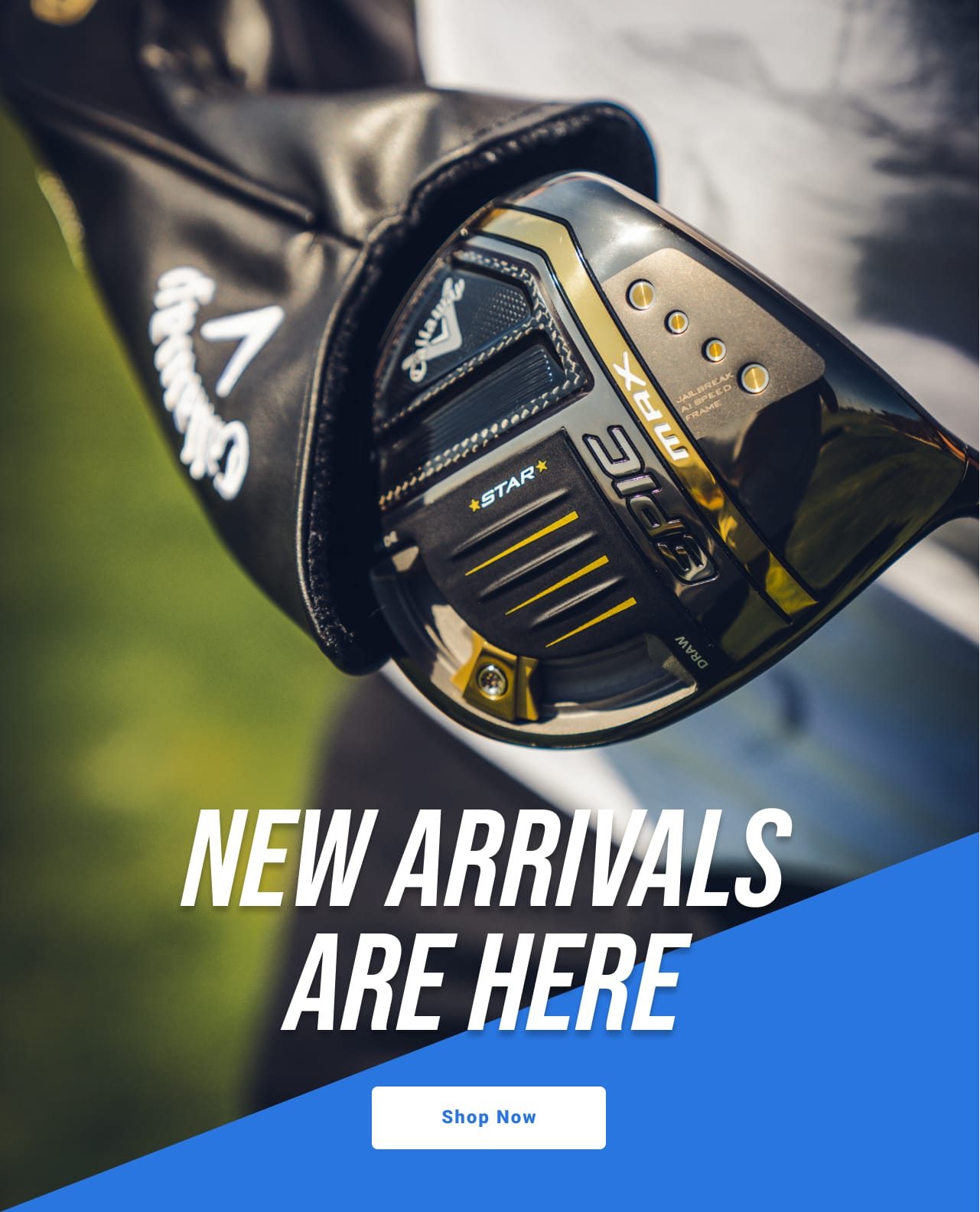 new arrivals are here - shop now