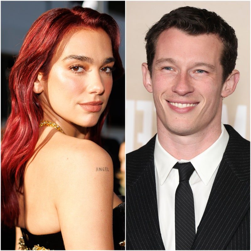 Dua Lipa, Callum Turner