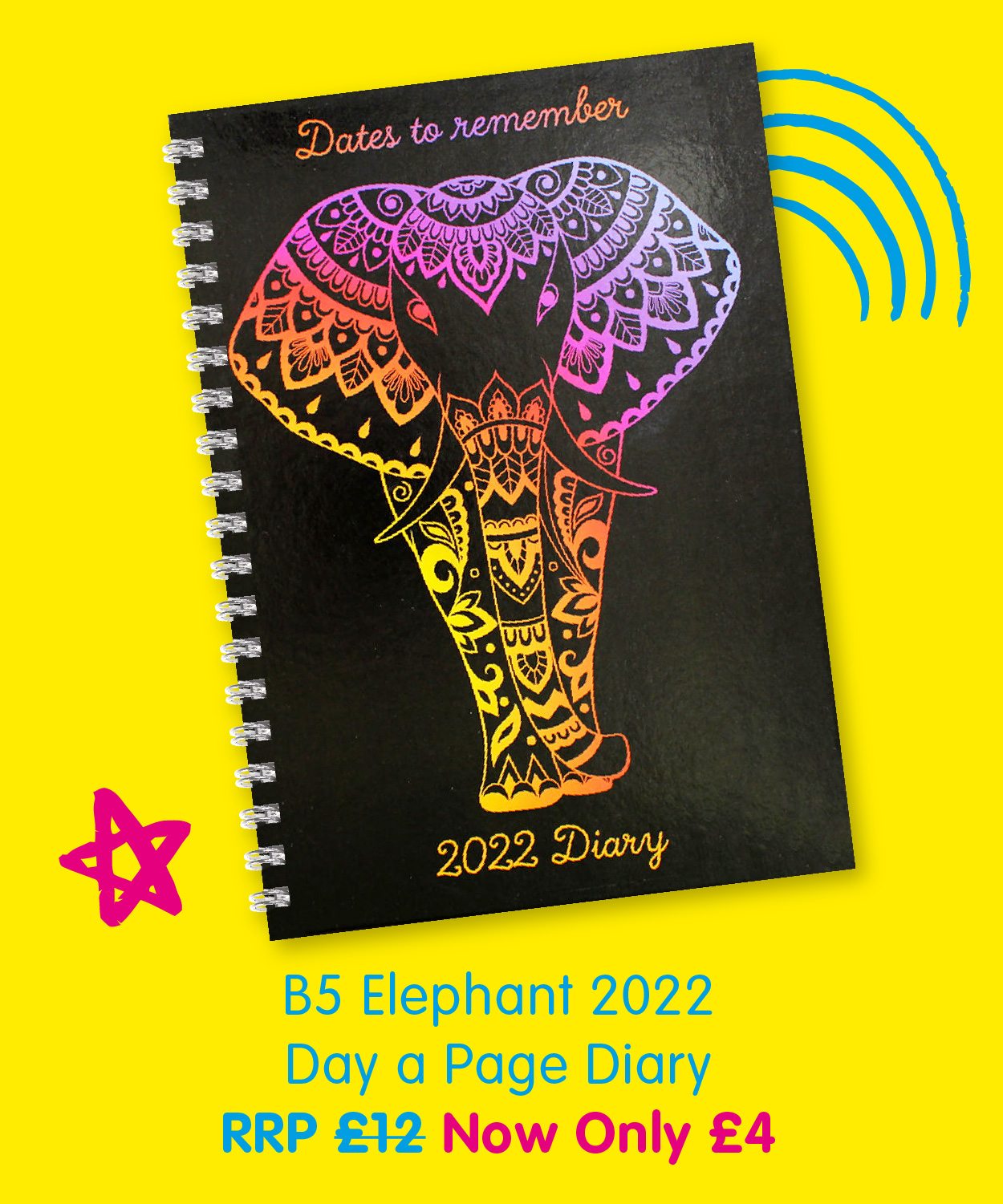 B5 Elephant 2022 Day a Page Diary