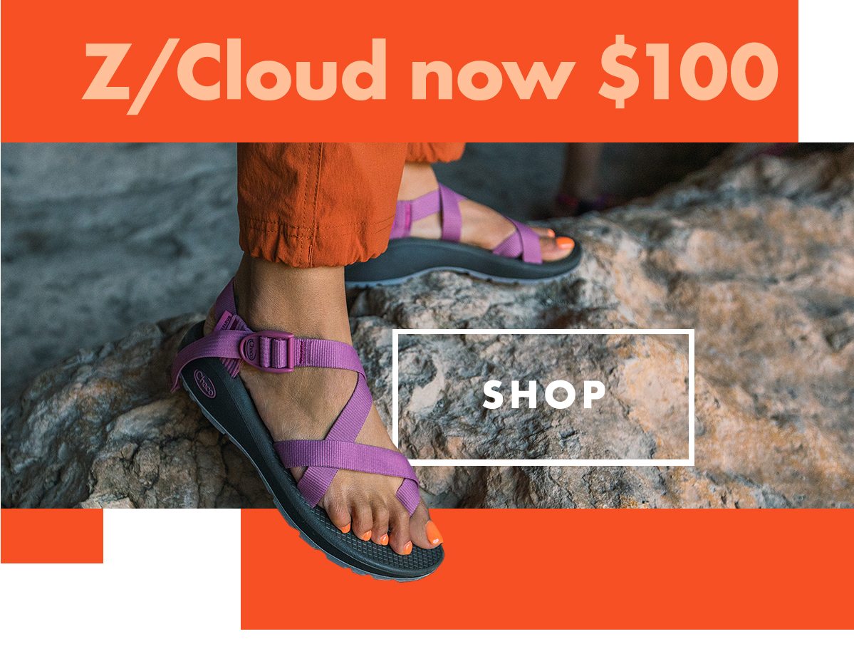 Z CLOUD PRICE DROP - IMG