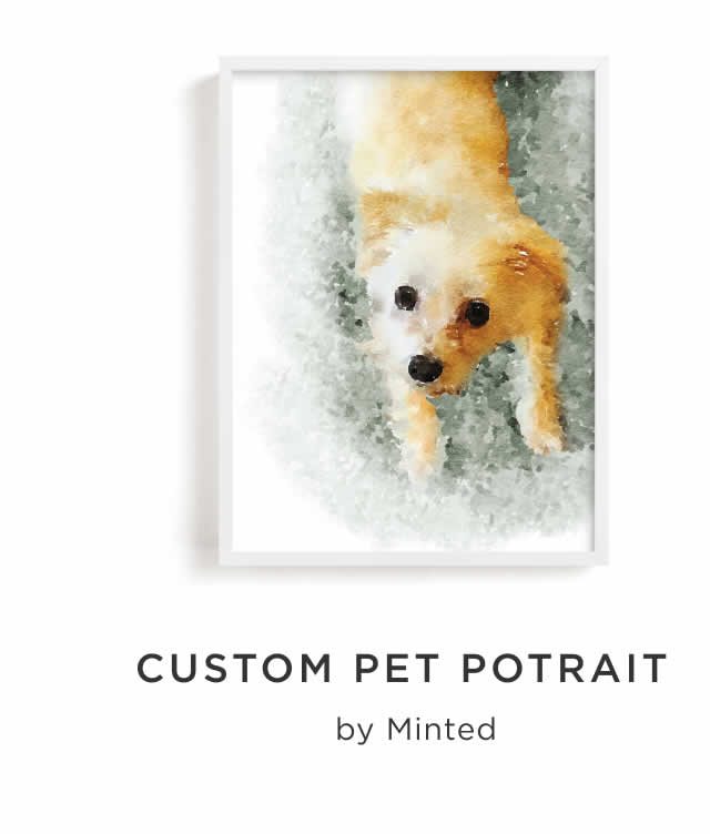 Custom Pet Portrait