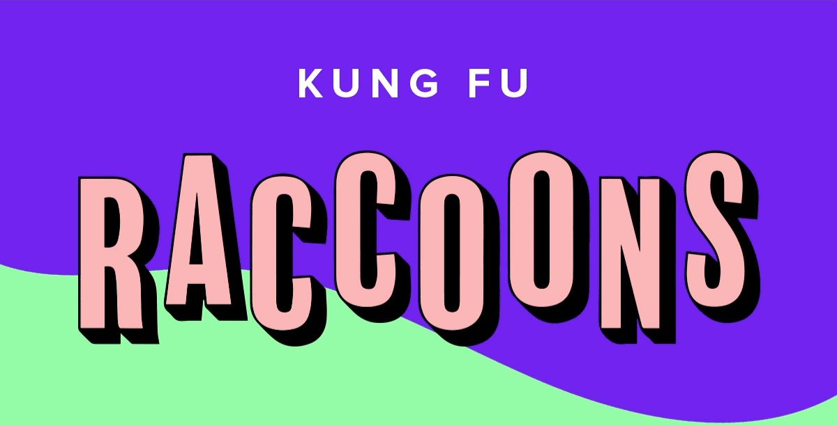 Kung Fu Raccoons