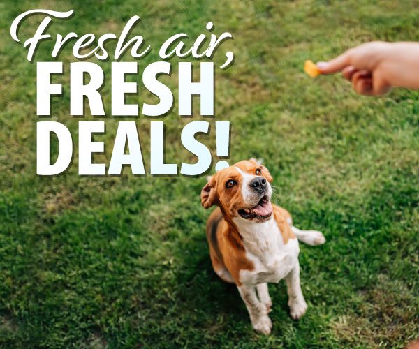 Fresh Air, Fresh Deals!