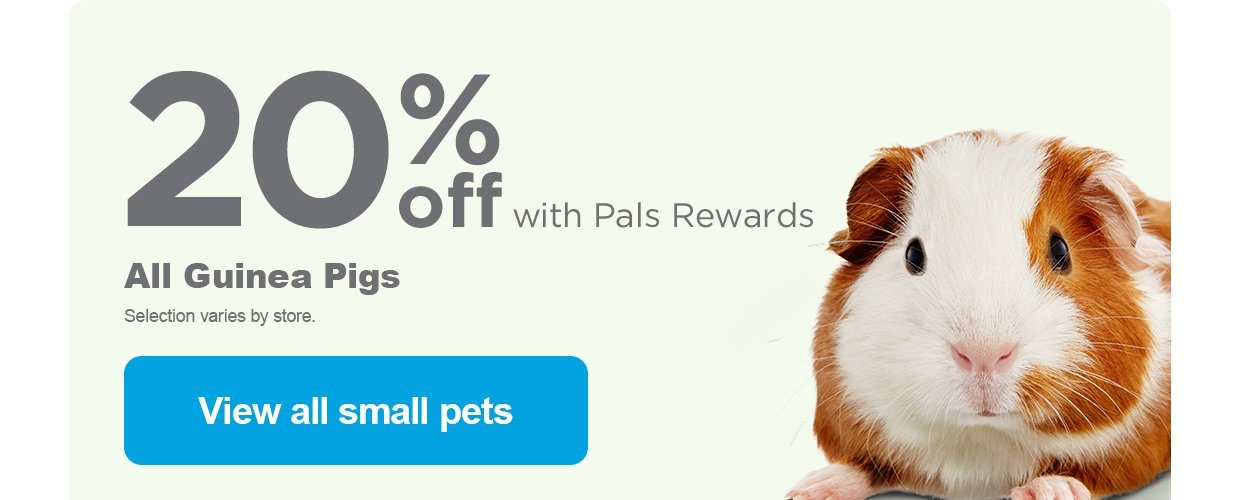 20% off with Pals Rewards. All Guinea Pigs. Selection varies by store. View all small pets.