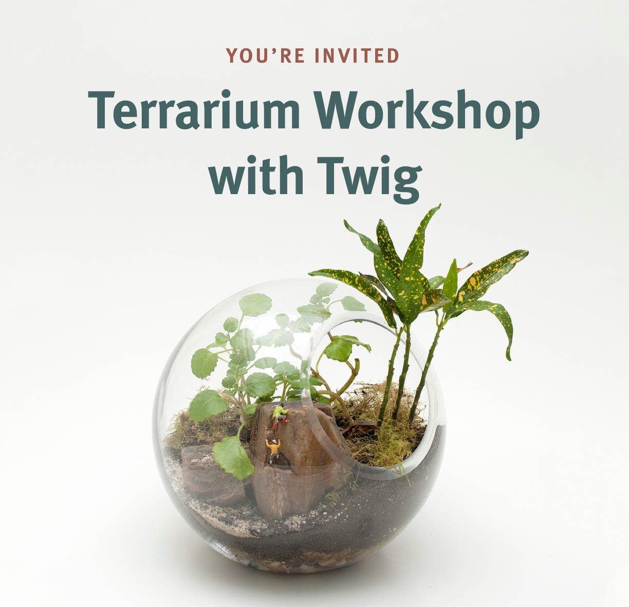 You're Invited Terrarium Workshop with Twig