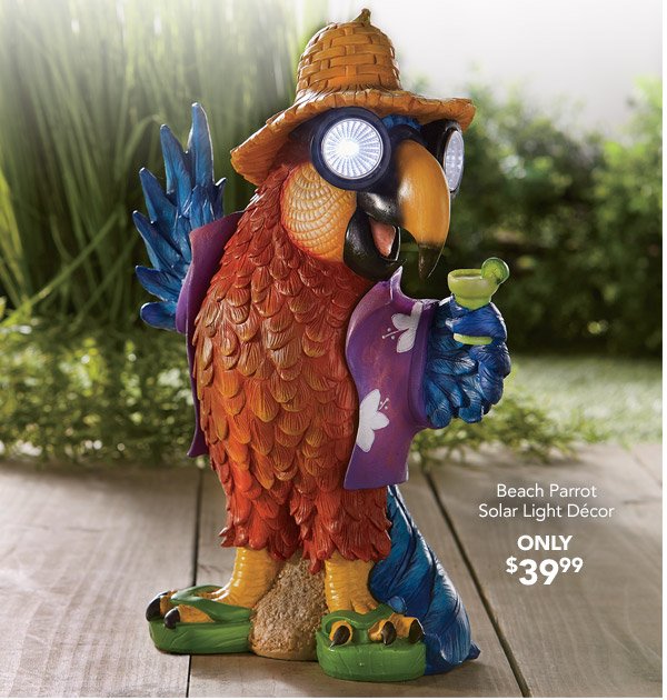 Beach Parrot Solar Light Decor Only $39.99